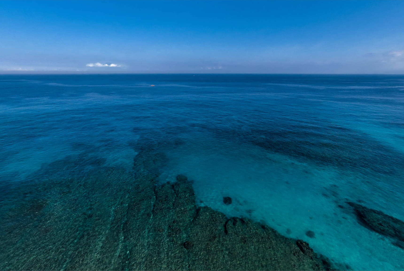 Ocean, pools, gardens, and hotel layout views