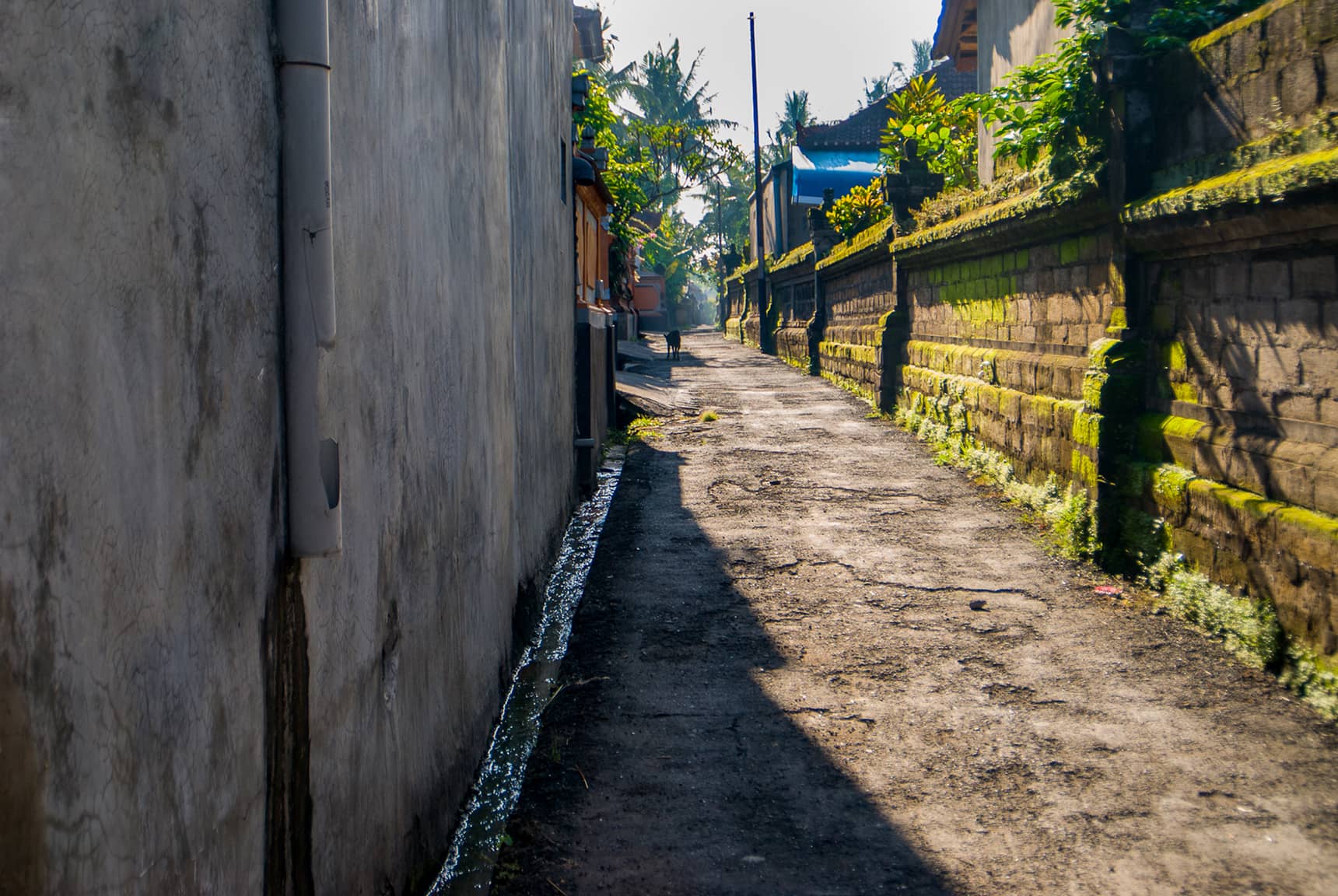 Professional photos of life in traditional Balinese villages - Desa Cemagi