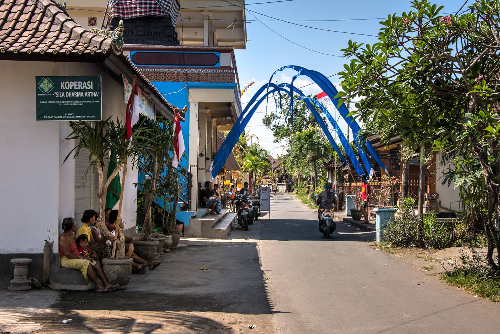 Professional photos of life in traditional Balinese villages - Desa Seseh