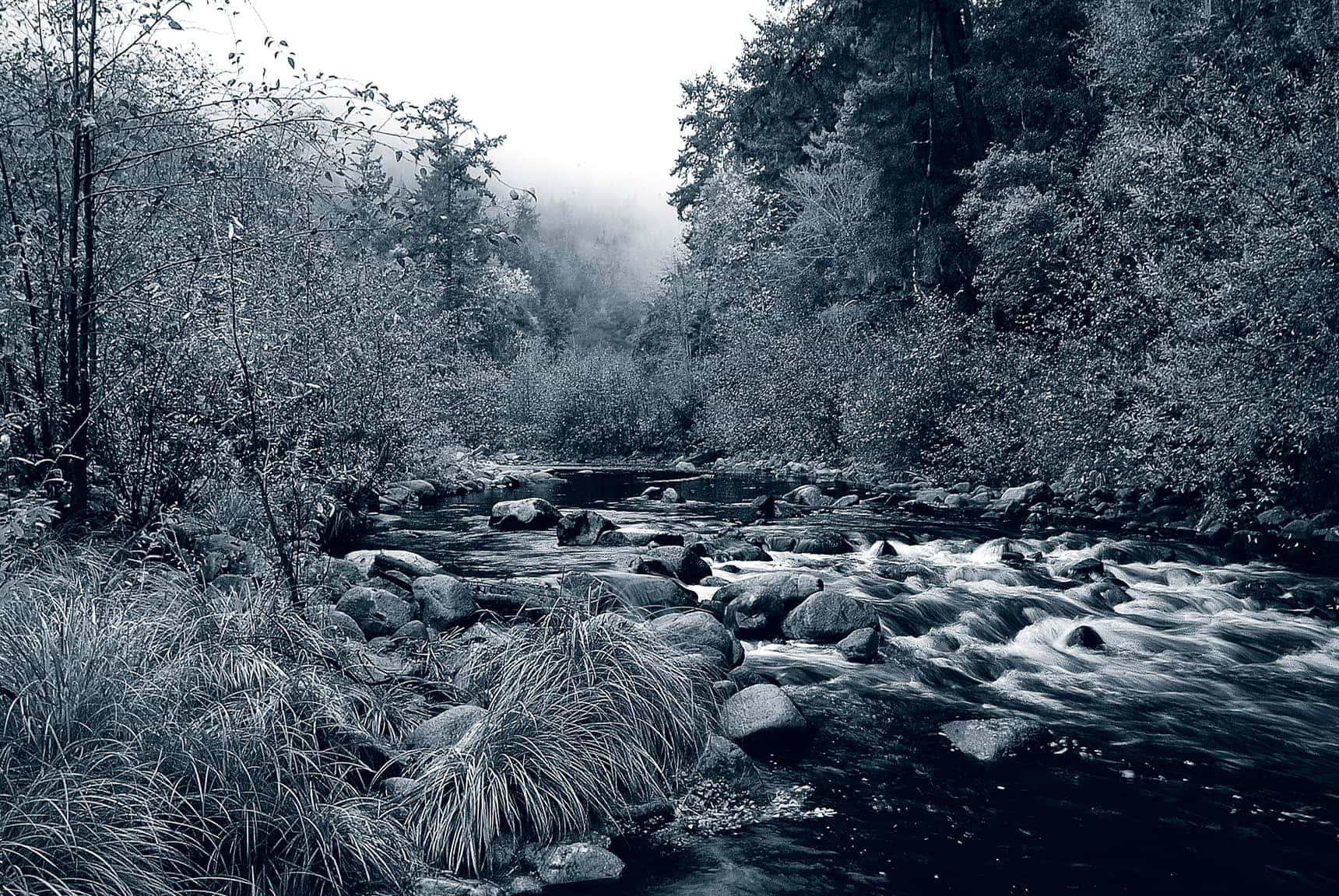 Professional, large-format landscape photography by LuxViz - winter scene along the San Lorenzo River, Santa Cruz California