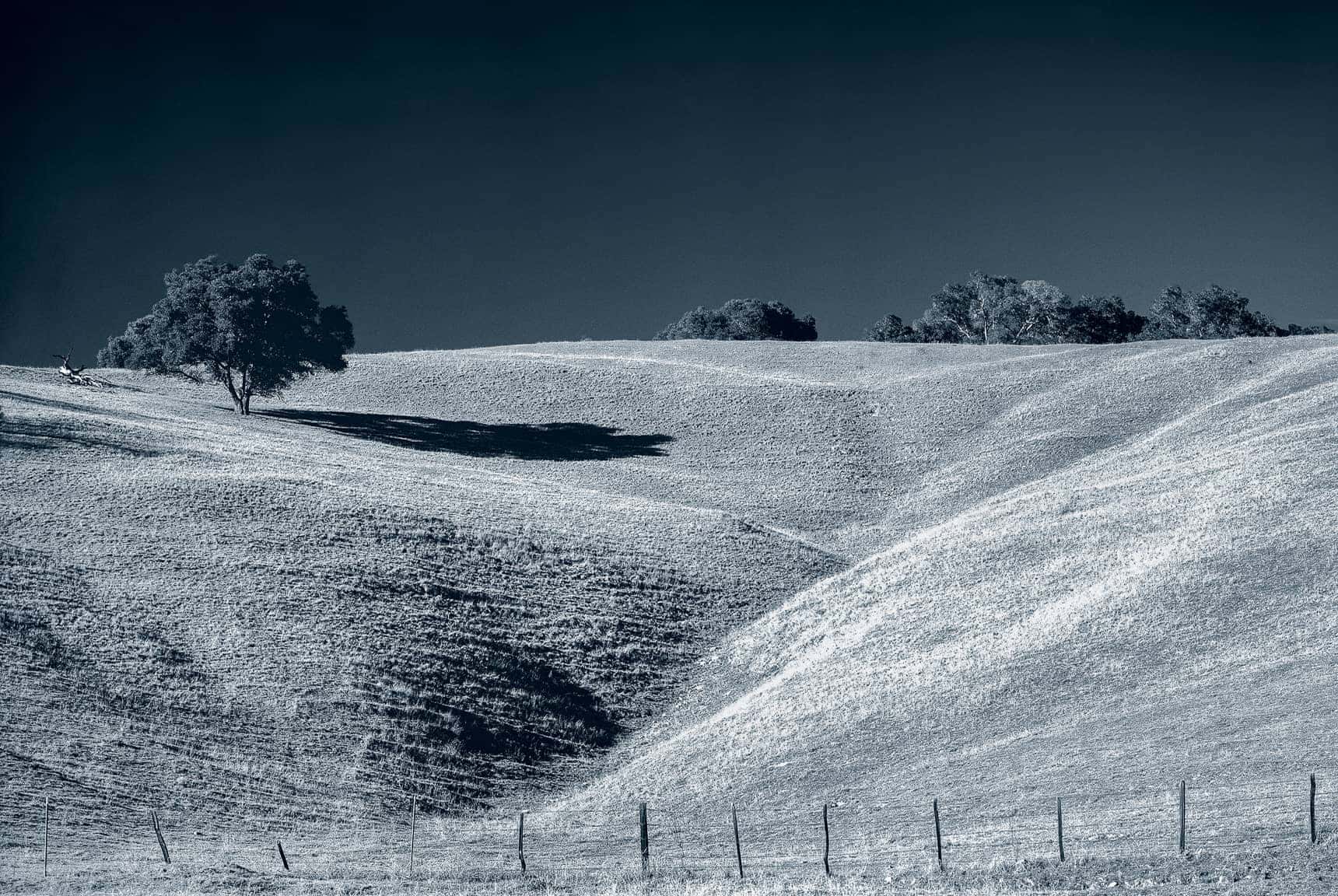 Professional, large-format landscape photography by LuxViz - hillside with oaks in Gilroy California