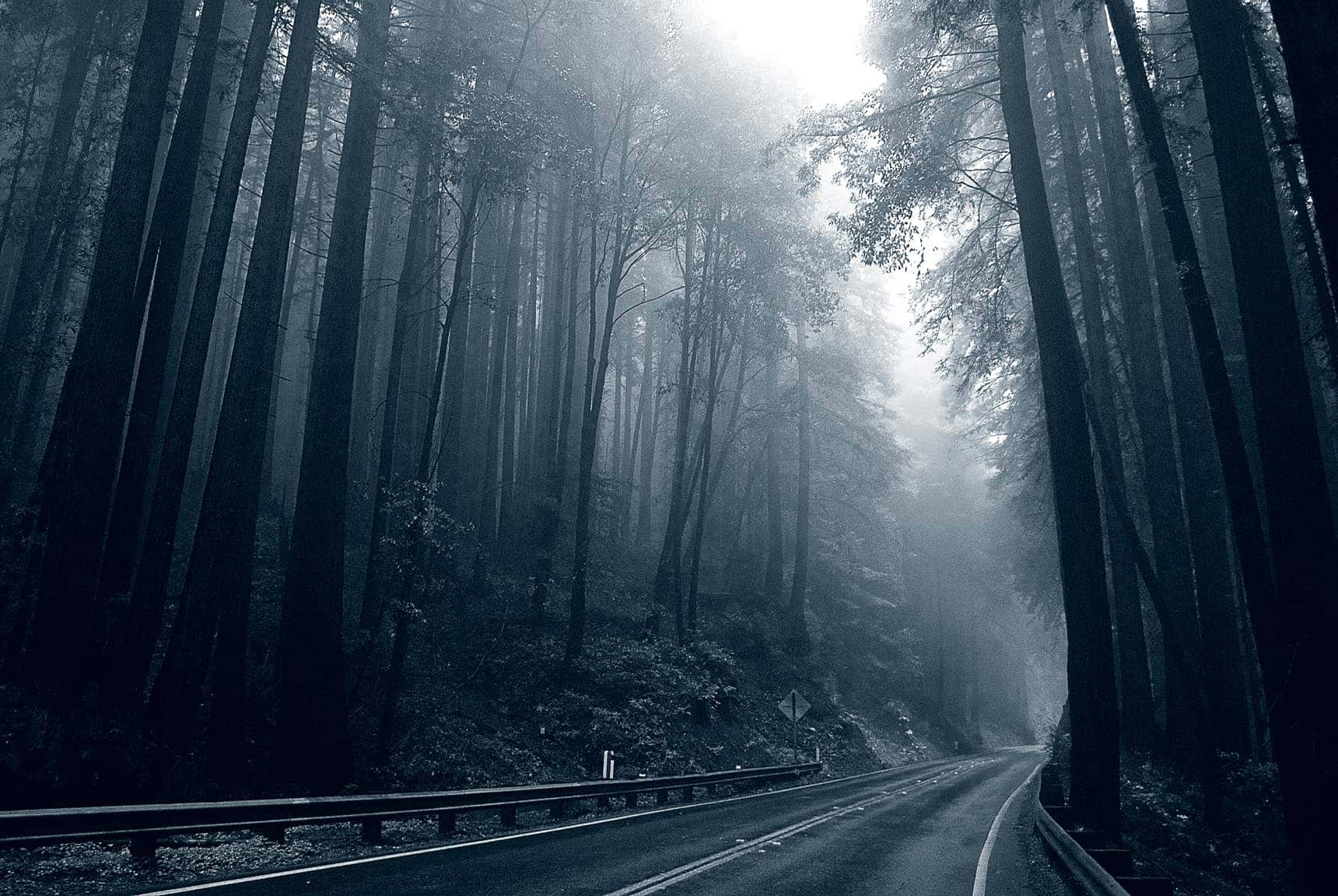 Professional, large-format landscape photography by LuxViz - Highway 9 Santa Cruz California in the fog