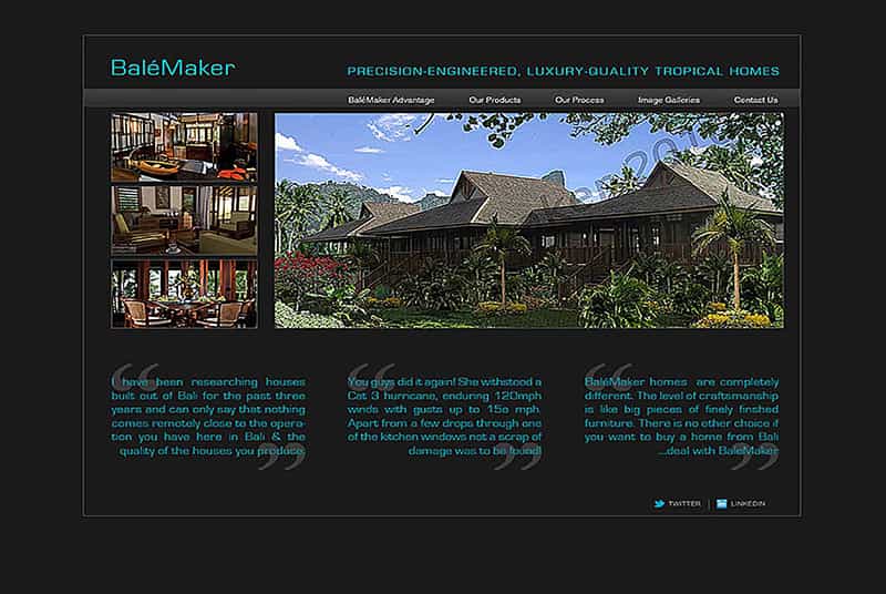 professional mobile-optimized website design by LuxViz in Bali Indonesia